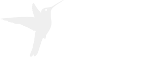 San Vicente Fundación