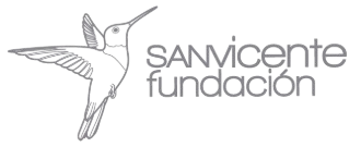 logo hospital san vicente footer