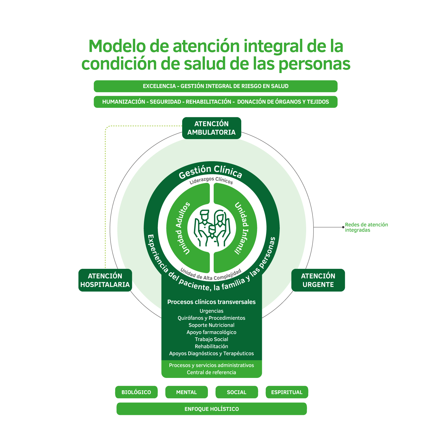 modelo